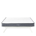 Kate 6" King Mattress by Modway