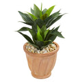 24"  Double Agave Artificial Plant in Terra Cotta Planter