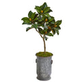45"  Magnolia Leaf Artificial Tree in Vintage Metal Planter