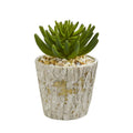 11"  Succulent Artificial Plant in Weathered Oak Planter