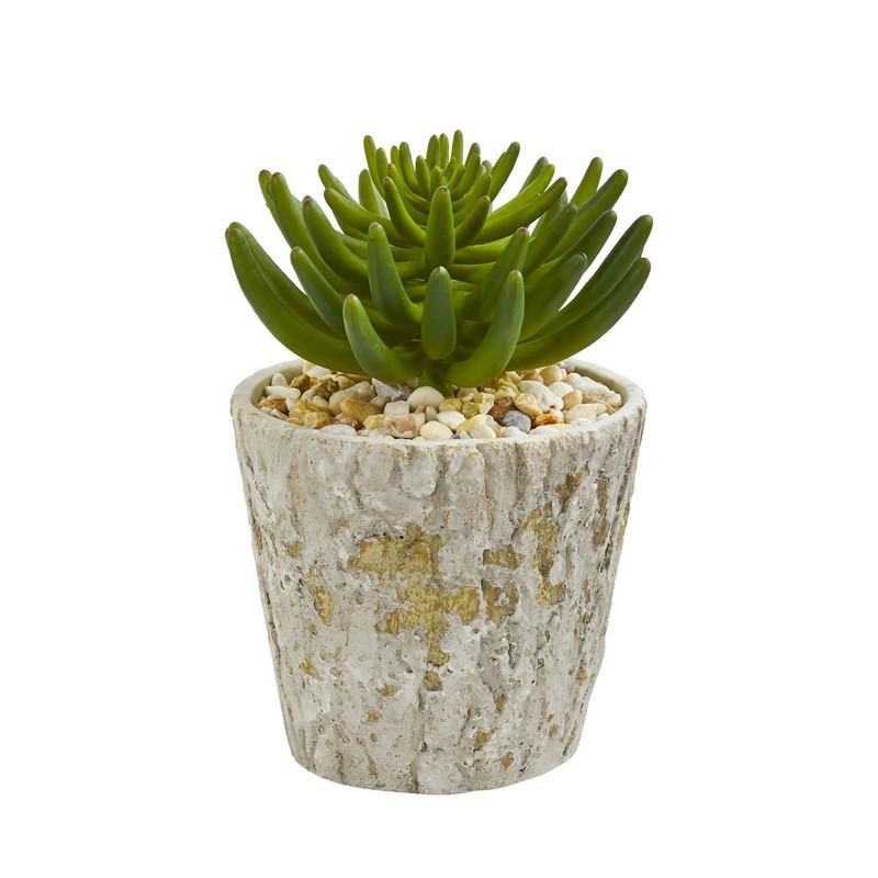 11"  Succulent Artificial Plant in Weathered Oak Planter