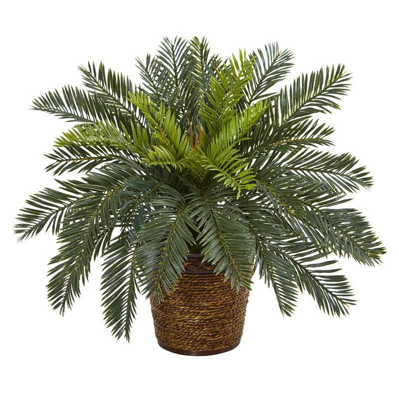 15"  Cycas Artificial Plant in Basket