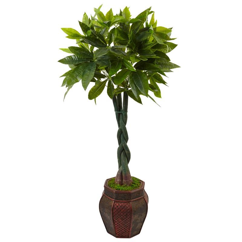 4.5' Money Tree in Planter