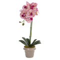20" Designer Phalaenopsis Orchid Artificial Arrangement