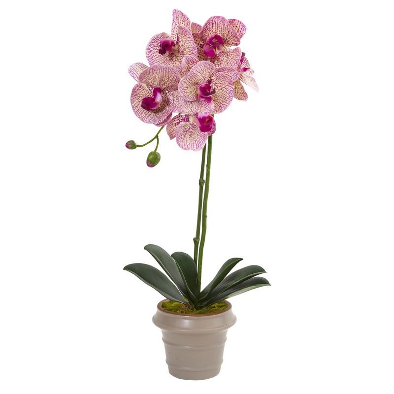 20" Designer Phalaenopsis Orchid Artificial Arrangement