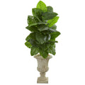 5' Taro Artificial Plant in Sand Finished Urn