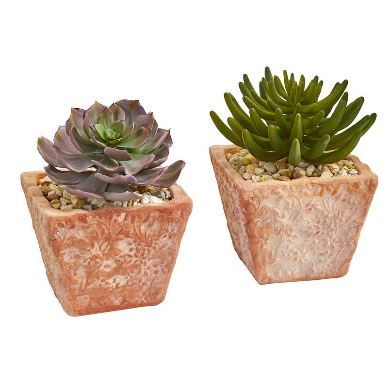 9"  Succulent Artificial Plant in Terra Cotta Planter (Set of 2)