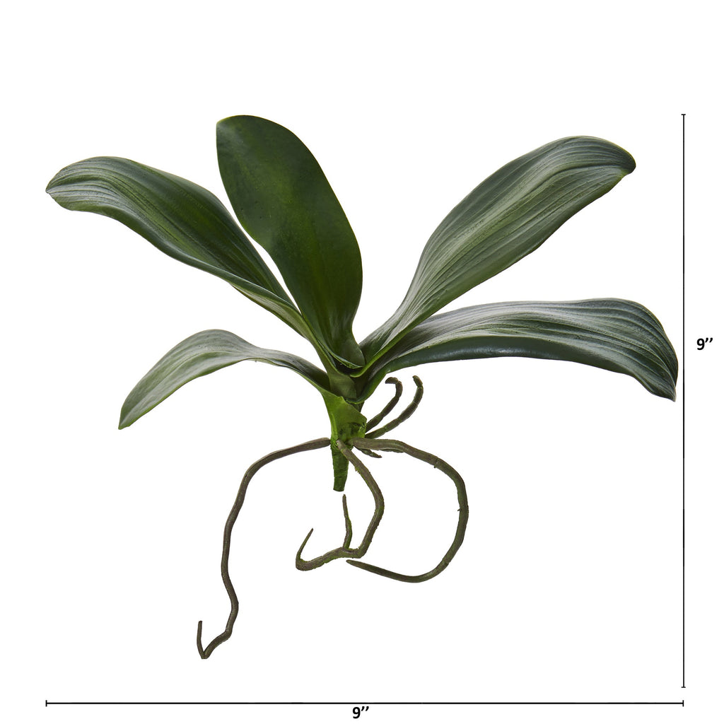 9" Phalaenopsis Orchid Leaf Artificial Flower (Set of 6)