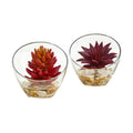 6"  Succulent Artificial Plant in Glass Vase (Set of 2)