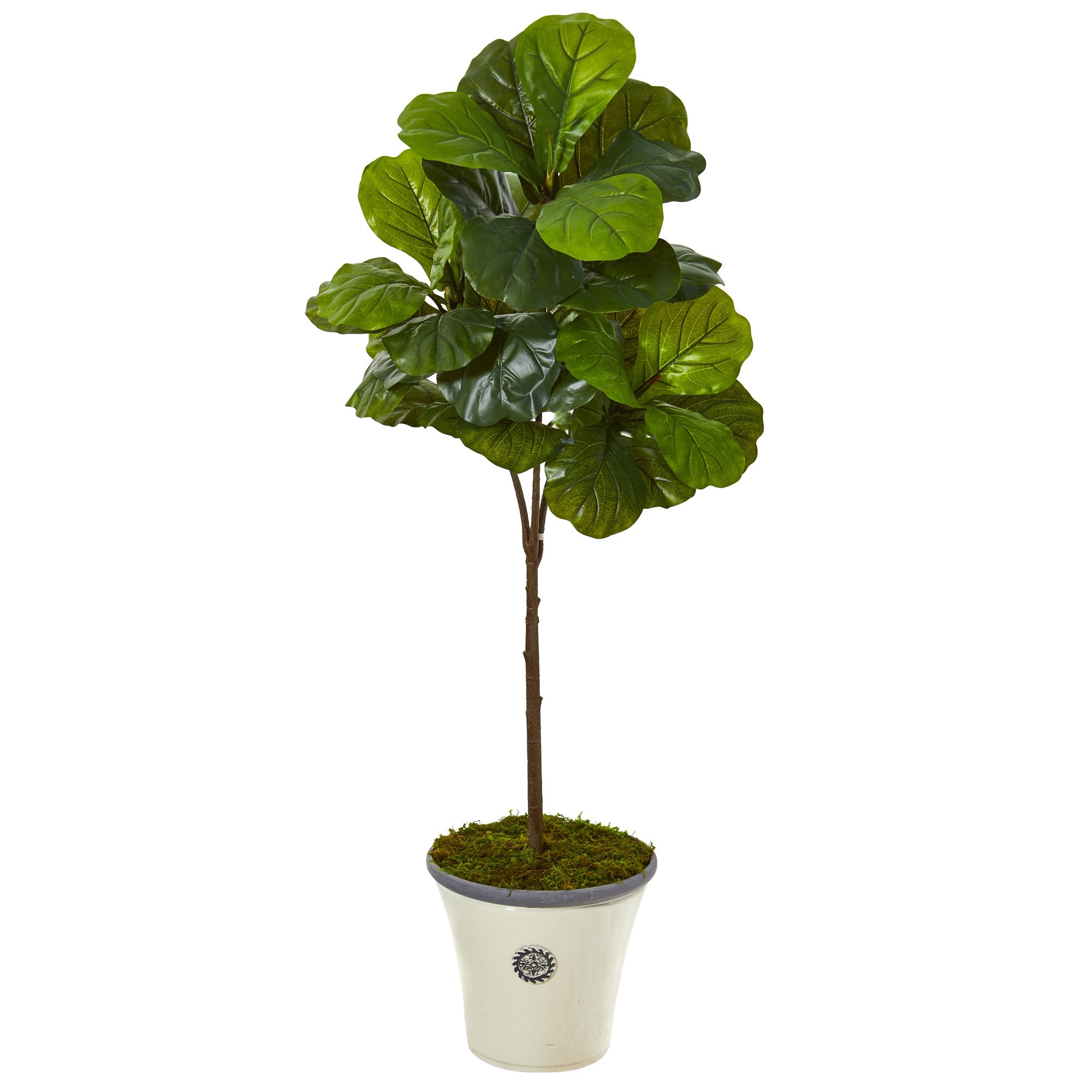 61"  Fiddle Leaf Artificial Tree in Planter (Real Touch)