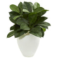 29" Artificial Rubber Plant In White Planter 9242 By Nearly Natural
