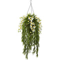 Bamboo & Dendrobium Hanging Basket