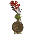 Orchid, Succulent Sunrise Arrangement