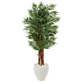 5' Parlor Palm Tree in White Oval Planter
