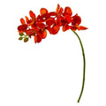 21"  Phalaenopsis Orchid Artificial Flower (Set of 6)