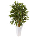 4' Bamboo Tree in White Tower Planter