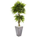 5.5' Mango Artificial Tree in Concrete Planter UV Resistant (Indoor/Outdoor)
