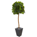 5.5' Fiddle Leaf Artificial Tree in Slate Planter (Real Touch)