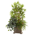 38"  Mixed Mini Bamboo, Fittonia & Springeri w/Planter