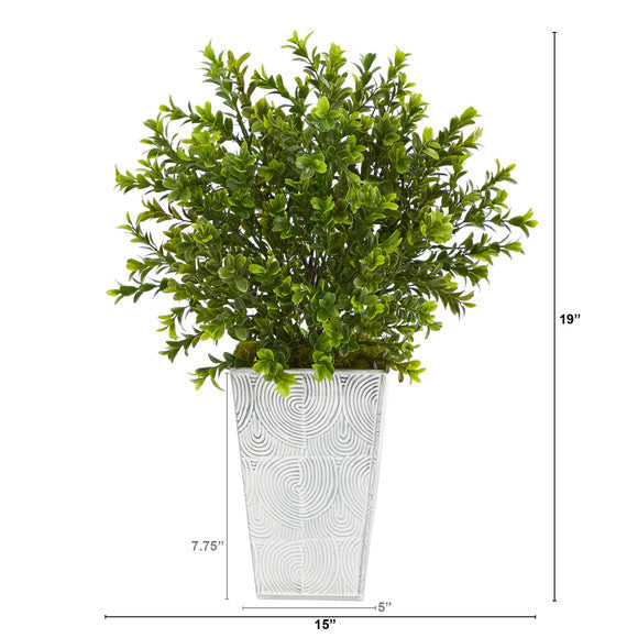 19" Boxwood Artificial Plant in Embossed White Planter