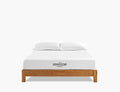 Aveline 8" Queen Mattress by Modway