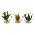7"  Mixed Succulent Artificial Plant in Glass Vase (Set of 3)
