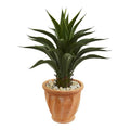 Agave Artificial Plant in Terra Cotta Planter