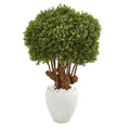 41"  Boxwood Artificial Topiary Tree in White Planter (Indoor/Outdoor)