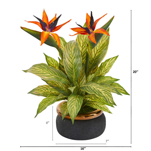 20" Bird of Paradise and Musa Leaf Artificial Arrangement in Stoneware Bowl