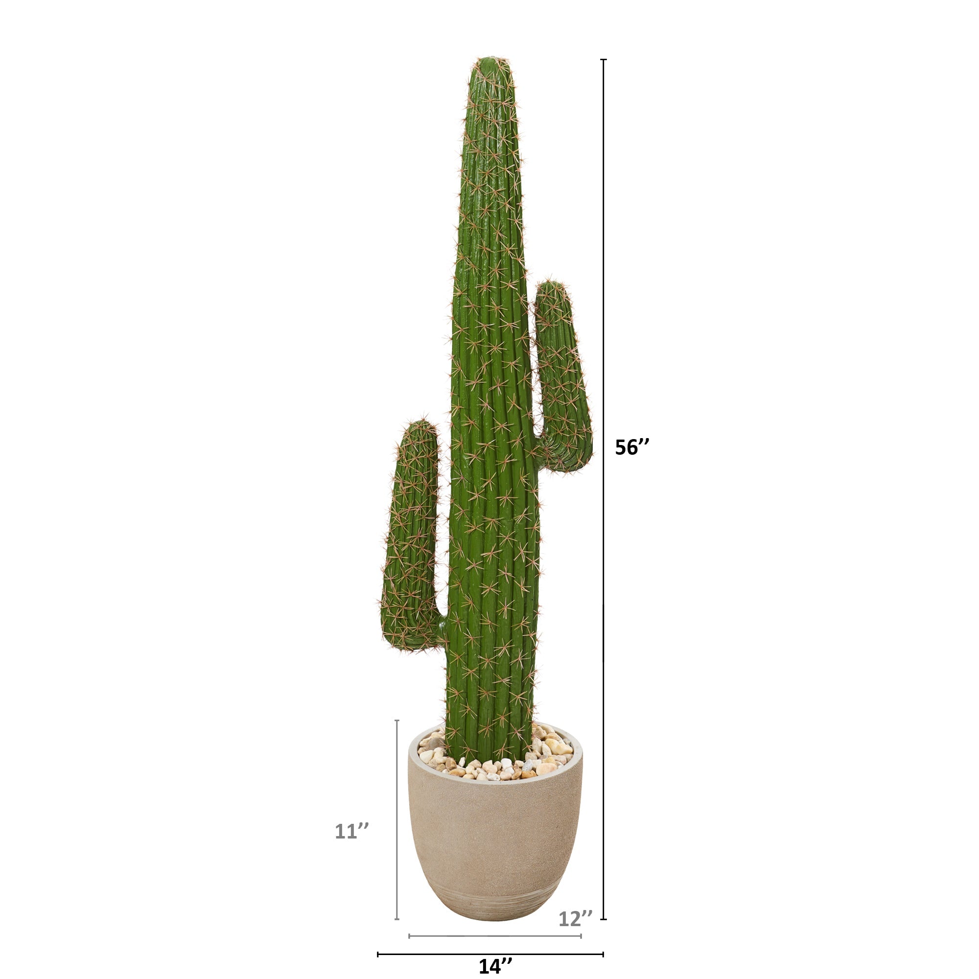 56" Cactus Artificial Plant in Sandstone Planter