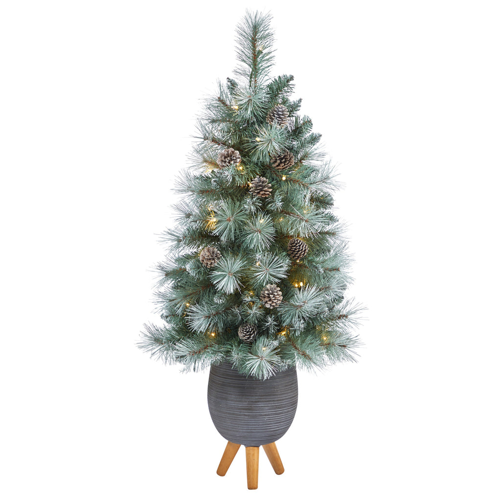 3.5' Frosted Tip British Columbia Mountain Pine Artificial Christmas Tree