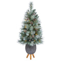 3.5' Frosted Tip British Columbia Mountain Pine Artificial Christmas Tree