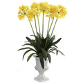 African Lily w/Urn