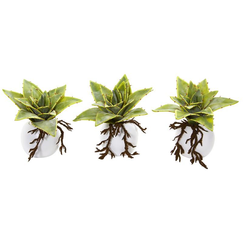 6"  Dusty Succulent Artificial Plant in White Vase (Set of 3)