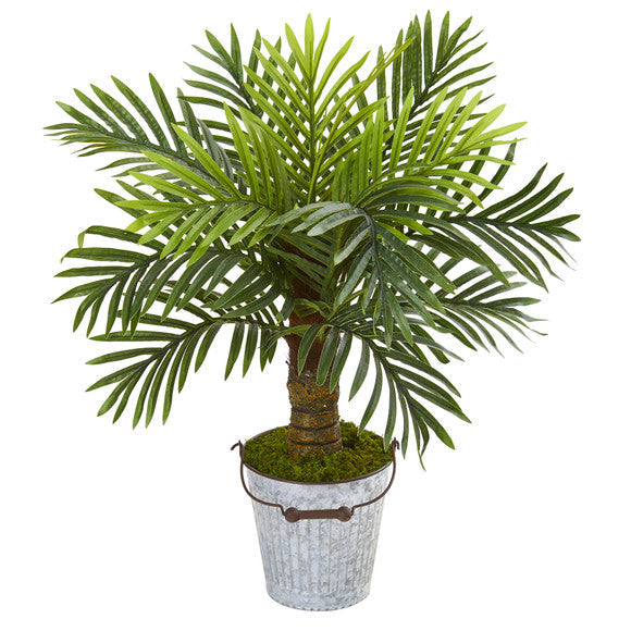 27" Robellini Palm Artificial Tree in White Washed Vintage Metal Pail