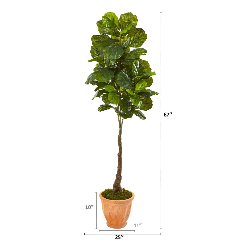 67"  Fiddle Leaf Artificial Tree in Terra-Cotta Planter (Real Touch)