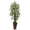 5.5' Black Bamboo Tree in Decorative Planter