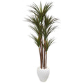 70"  Giant Yucca Artificial Tree in White Planter UV Resistant