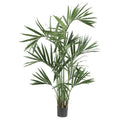 6' Kentia Palm Silk Tree