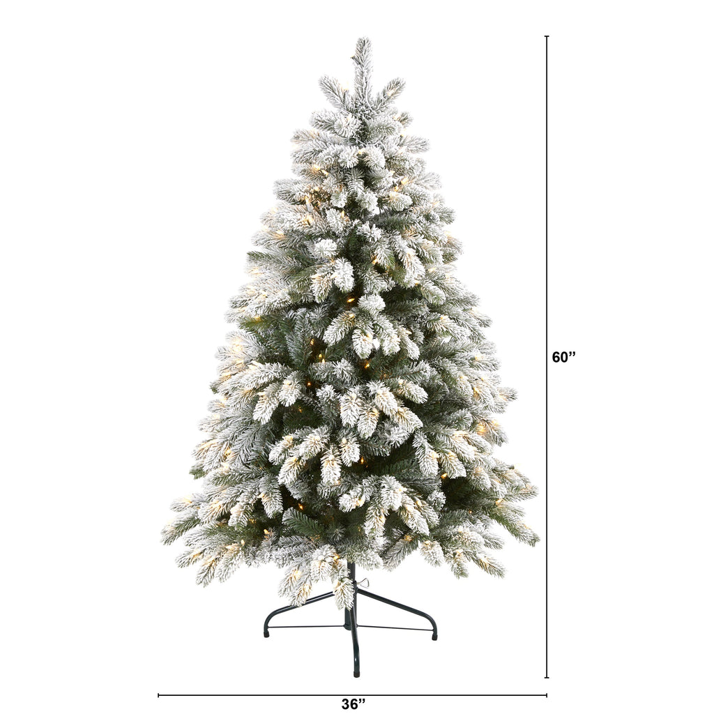 5' Flocked South Carolina Spruce Artificial Christmas Tree w300 Clear Lights