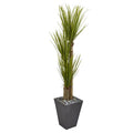 5.5' Triple Stalk Yucca Artificial Plant in Slate Planter
