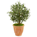 34" Olive Artificial Tree In Terra Cotta Planter 9221 By Nearly Natural
