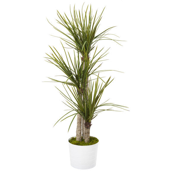 56" Yucca Artificial Tree in Tin White Planter