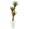74"  Yucca Artificial Tree in White Tower Planter