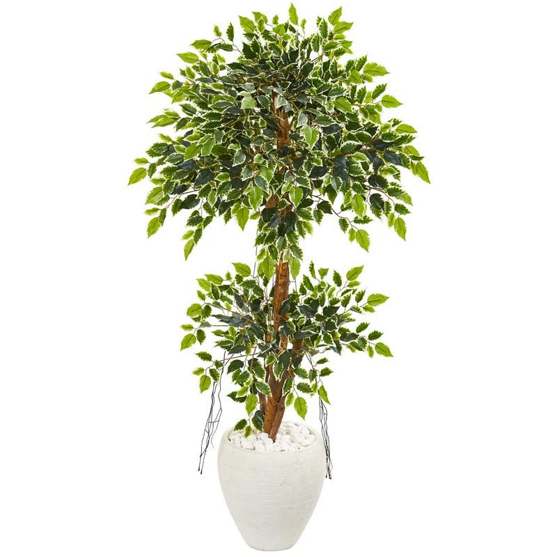 56"  Variegated Ficus Artificial Tree in White Planter