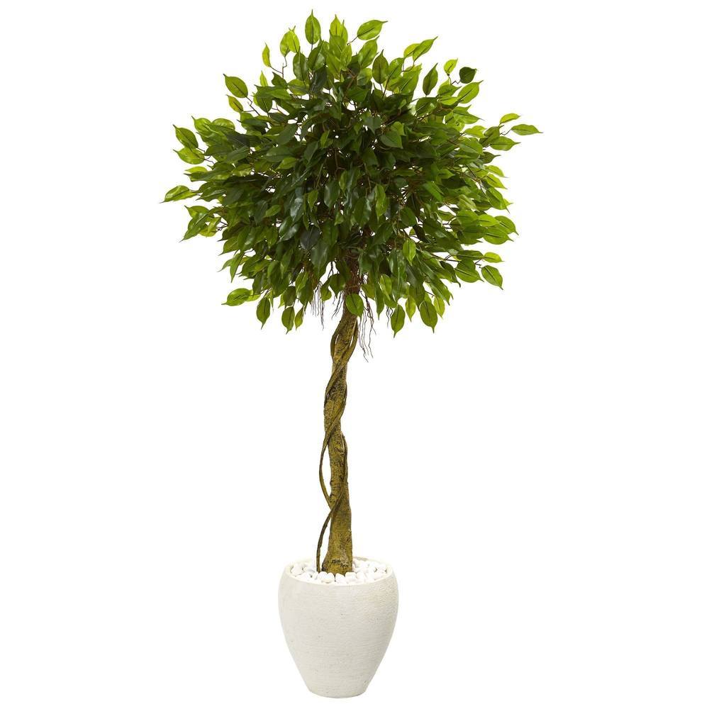 5.5' Ficus Artificial Tree in White Oval Planter UV Resistant