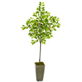 6' Lemon Artificial Tree In Olive Green Planter 9612 By Nearly Natural