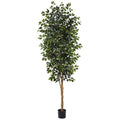 8' Ficus Tree w/1512 Lvs