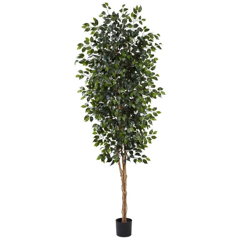 8' Ficus Tree w/1512 Lvs