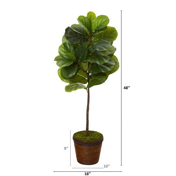 4' Fiddle Leaf Artificial Tree in Coiled Rope Planter (Real Touch)